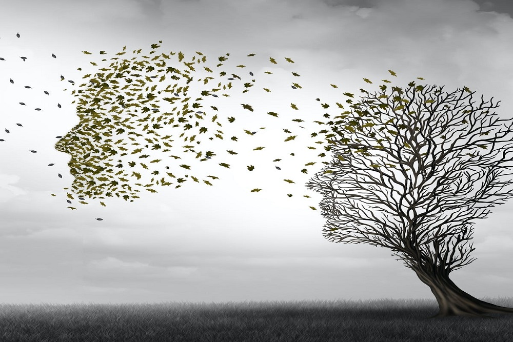 Imagen artículo Diana